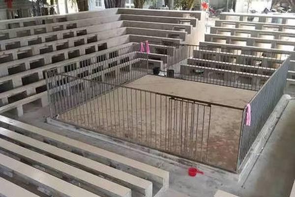 美丽的姑娘小说-美丽的姑娘小说